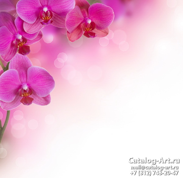Pink orchids 94